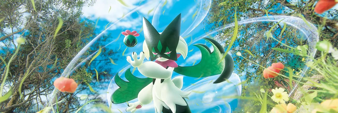 Category Banner